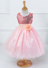 Mesh Paggy Dress
